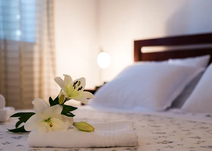 Sv. Petar Apartman *