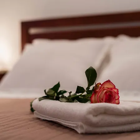 スヴェティ ペタル *